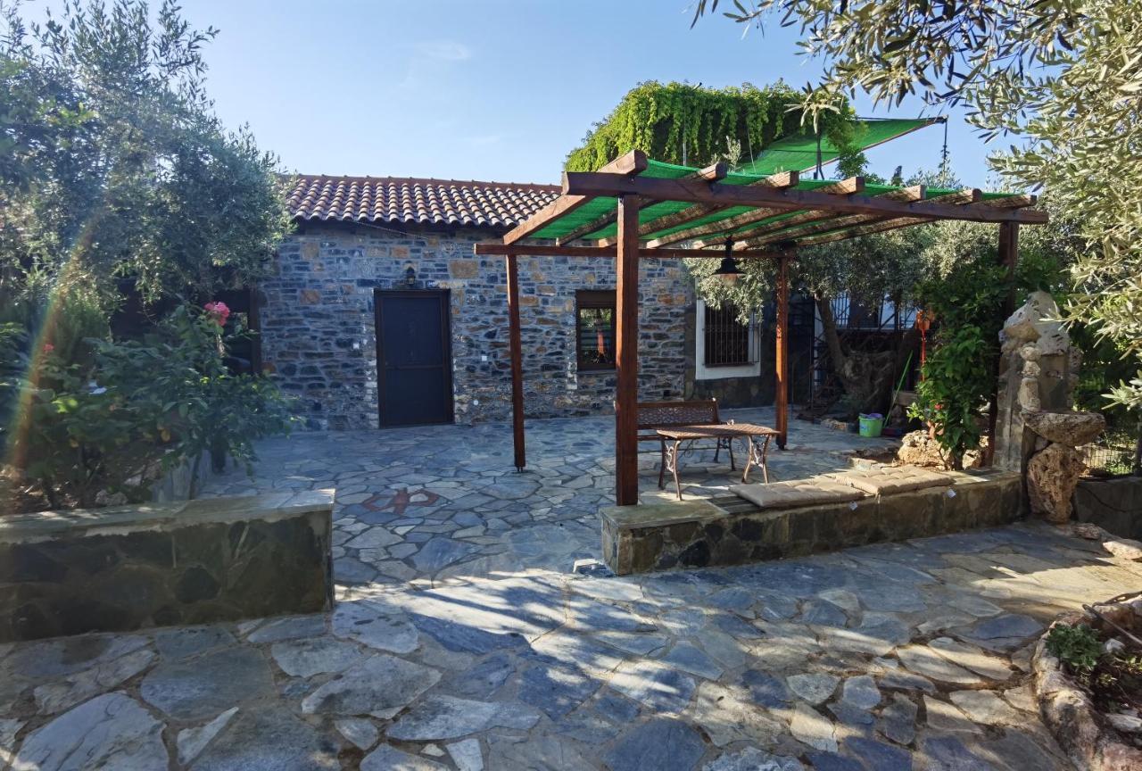 Elaion Thea-Nies Villa Sourpi Ngoại thất bức ảnh